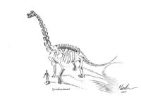 Brachiosaurus
