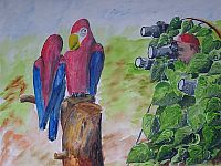 papageienPaparazzi640