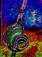 schnecke-pop-art